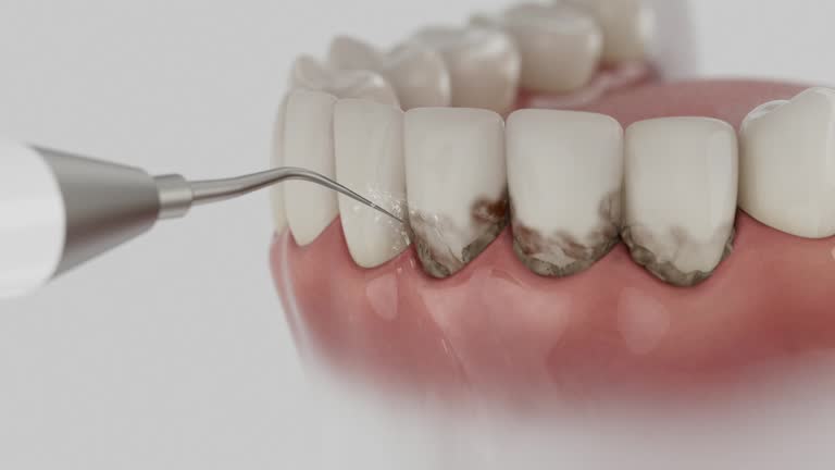 Reliable Dental contractor in Clearwater, KS by Dentist Open Now